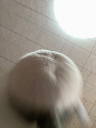 飛んでみた