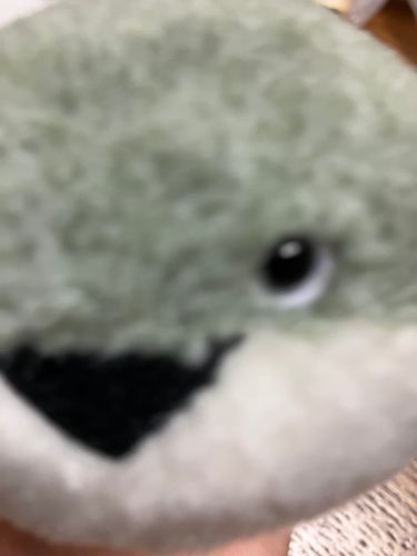 ジロッ