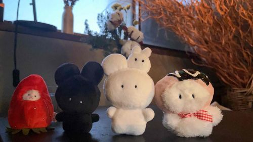 おうちのひとの おともだちからの おくりもの☁️
しんりゃくしゃ たこやき☁️
あべんじゃーず みたいだね って いってたよ☁️
かわいい よかった よかった☁️