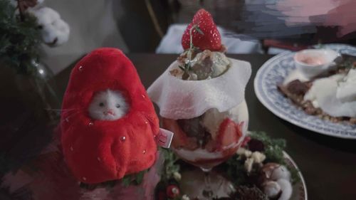 いちごと いちごで かわいい～🍓
いちごの きせつ だいすき～🍓