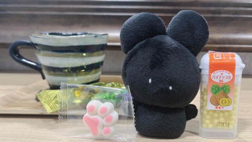 おうちのひとの びよういんについてきた☁️
おやつを もらったよ☁️
にくきゅう ましまろ よかった よかった☁️