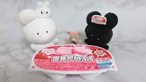 ゆきみだいふく いちご🍓
あいすが にがてな おうちのひとも
おいしい って たべてたよ☁️
