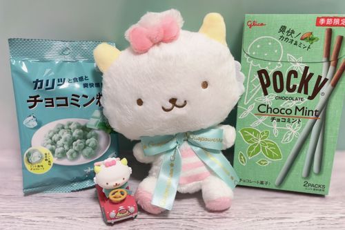 あ、チョコレートミントのぱわるぅです꒰՞ .  ̫ . ՞꒱🎀