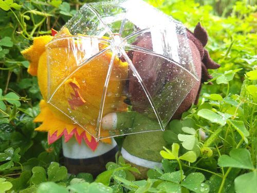 雨の日のすごし方