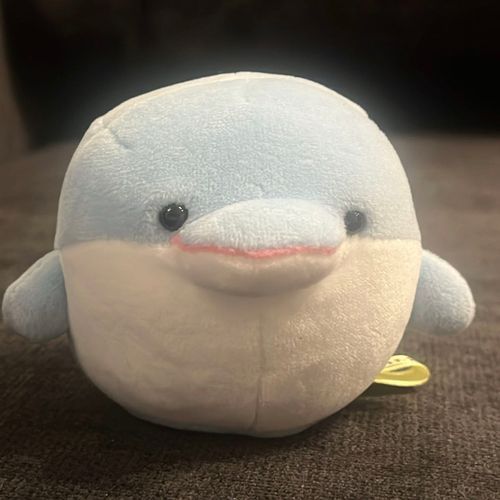 クレバーなイルカ 