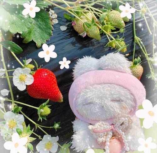 いちご狩り(ꕤ ॑꒳ ॑*)ﾉ🍓
いっぱい食べたね🍀
