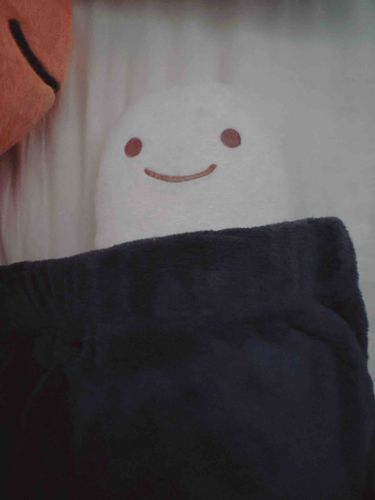 飼い主用のパジャマ
ぶかぶかすぎたね‎(;ↀ⌓ↀ)
にょろちゃんサイズの服が欲しいね(๑°༥°๑)
寒くなってきたもんね(((( °_° ))))