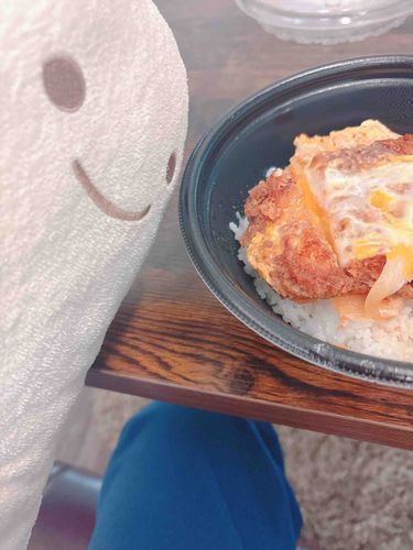 おいしそーなかつどんだね🤤🤤