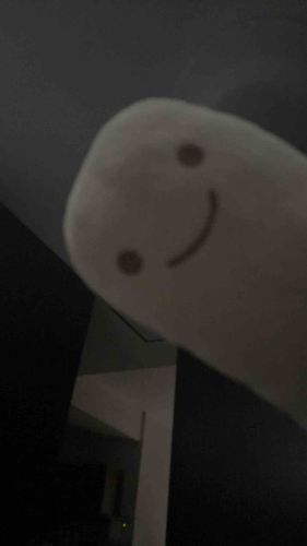 おやすみの日に叩き起されました💡