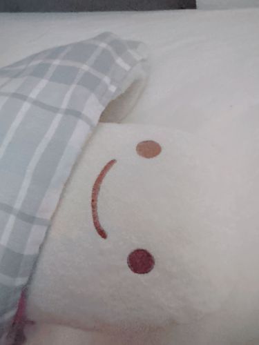 夏の日のエアコンは涼しいとはいえ、お布団かぶらないと おなか冷えちゃうね;:((՞-﹏-՞));: