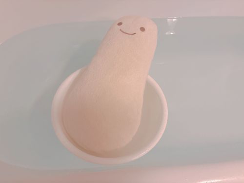 綺麗になったね✨️
ぷかぷか気持ちいいね(*´﹀`*)