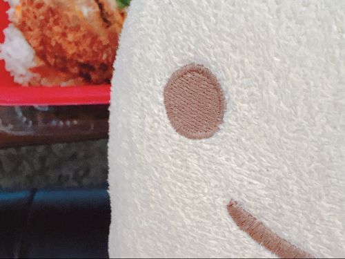かつどん、おいしそーだね✨