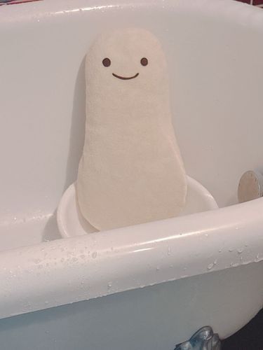 手洗い後のｼﾄｼﾄにょろちゃんを乾燥へ、
もう少しで(*-ω-)ヾ(･ω･*)ﾓﾌﾓﾌになれるから頑張ろうね🥹