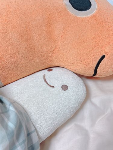 すっぽりはまって2人ですやすや(  ¯ ¯ )ᐝ
今日もかわいいね😆✨️