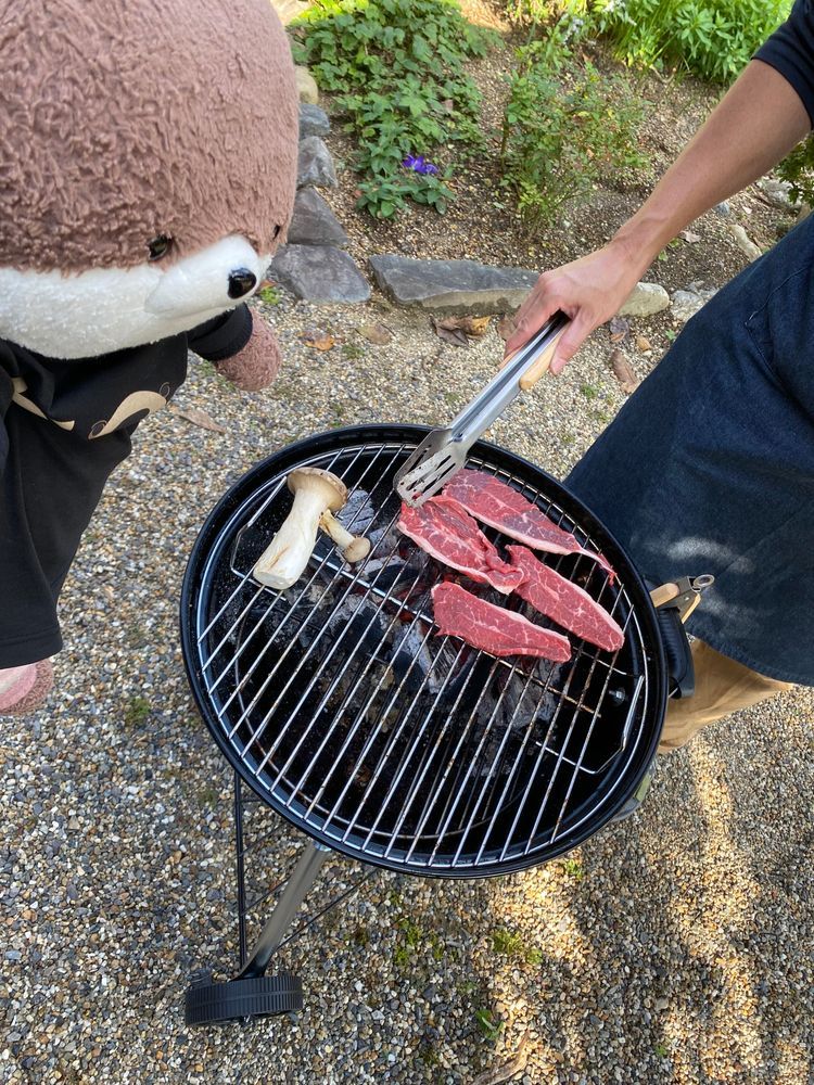 こんばんは、カワミちゃんだよ。今日はおとうさんのお友達が来てバーベキューをしたよ。一年前に買って放置してたアメリカ製のバーベキューコンロがやっと役に立つ時が来たよ😅アマミンとフトちゃんは最初コンロの上に乗って遊んでいたよ💦