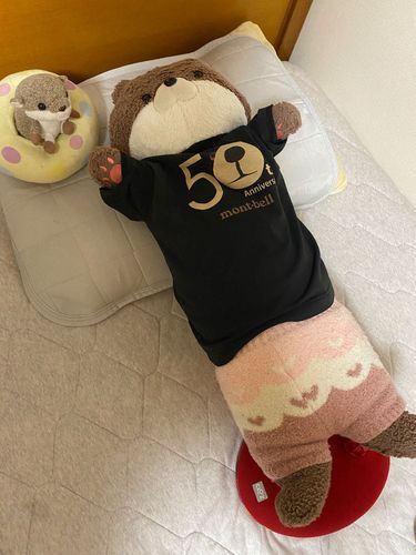 カワミちゃんだよ。あまりの寒さに、ついに湯たんぽを出してもらったよ。しっぽもあったまるし最高だよ〜😆