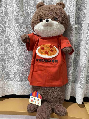 みなさんこんばんは、カワミちゃんだよ。カワ助がおとうさんにTシャツを買ってもらってたから、カワミちゃんもお願いしたら、今日Amazonで届いたよ。めちゃかわいいでしょ💕