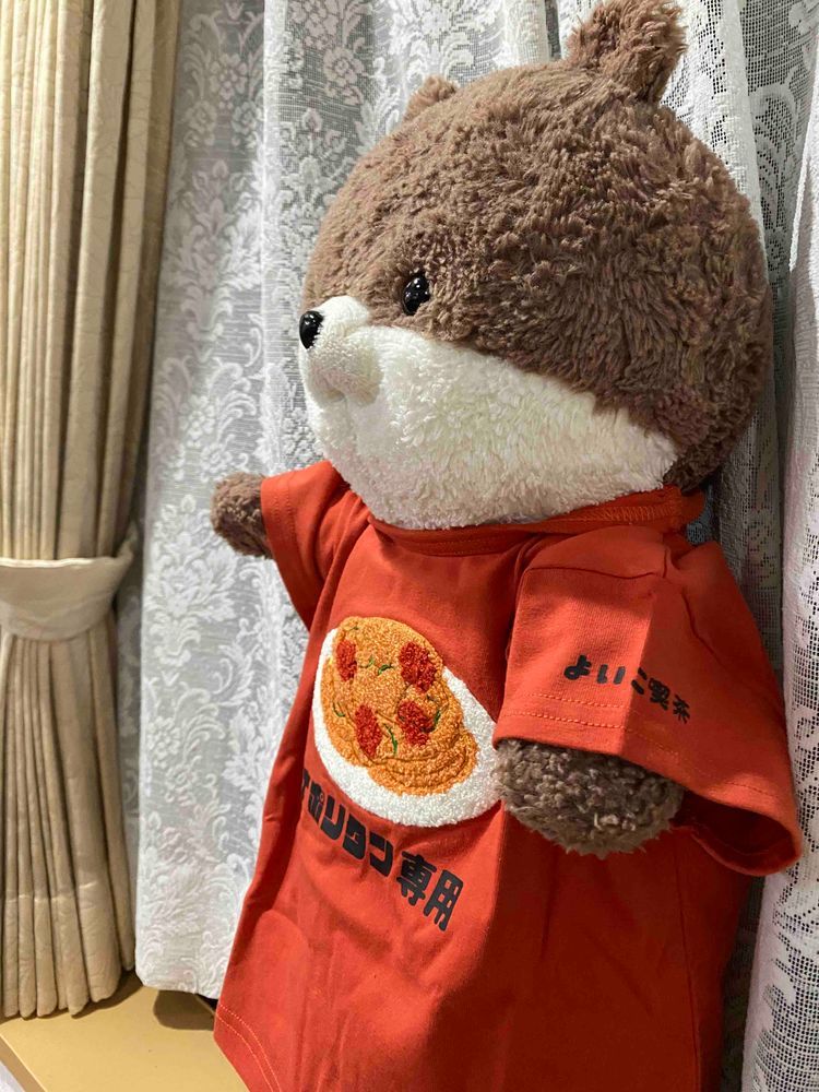 みなさんこんばんは、カワミちゃんだよ。カワ助がおとうさんにTシャツを買ってもらってたから、カワミちゃんもお願いしたら、今日Amazonで届いたよ。めちゃかわいいでしょ💕