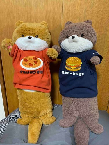 買ってもらったハンバーガーTシャツを着てみたよ！ところでナポリタンTシャツをカワ助が勝手に着てるんだけど…😭
