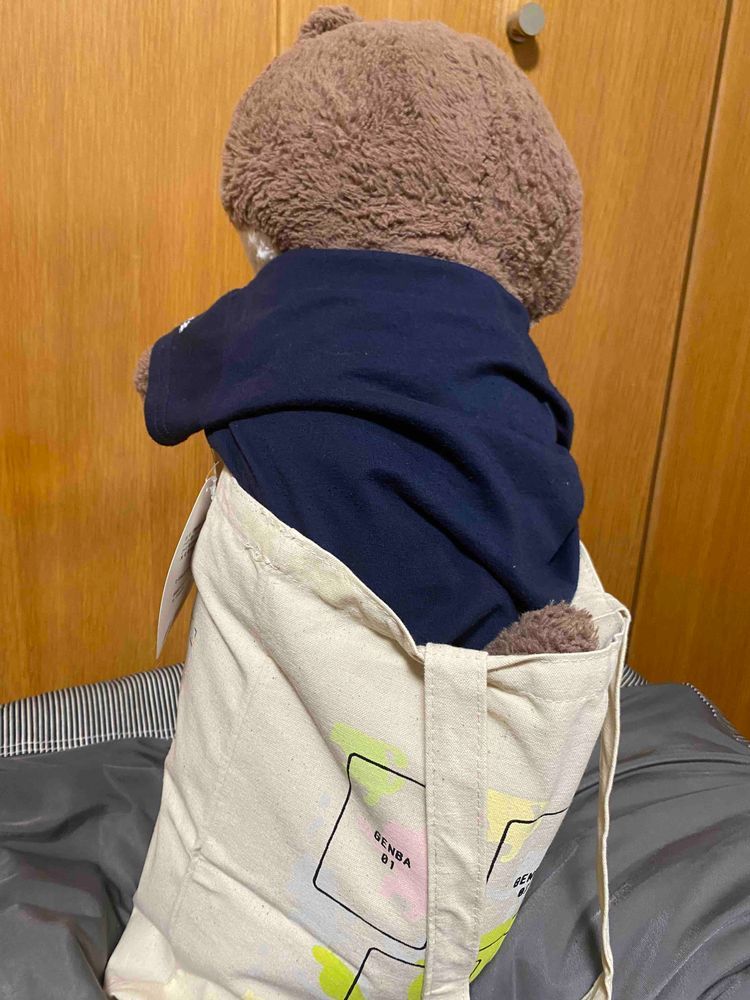 カワミちゃんのお出かけ用トートバッグが届いたよ。カワミちゃんは大きいから、やっぱりしっぽがはみ出てしまうんだ…😂