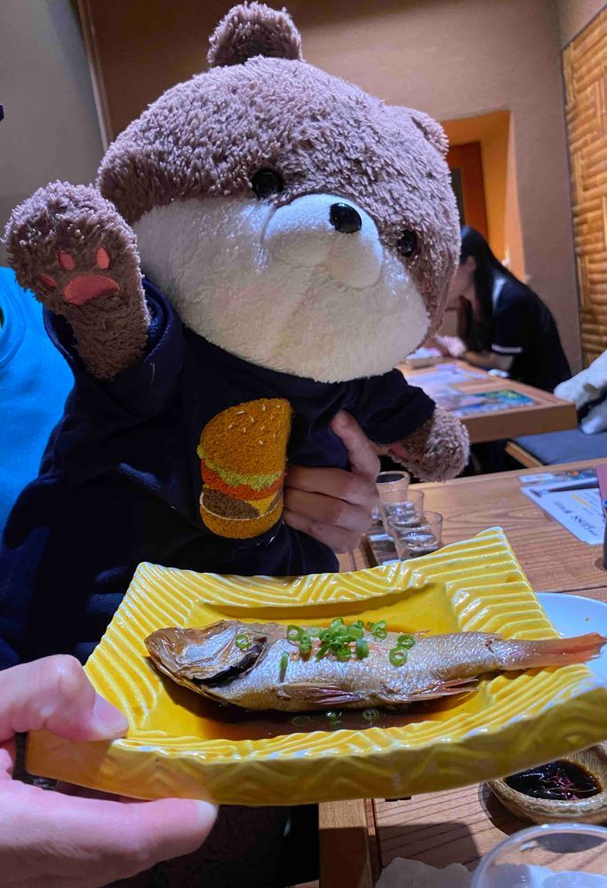 松江城の敷地にあった洋館で遊んでるカワミちゃんだよ。ここは昔、大正天皇が宿泊された場所なんだって！最後の写真は、松江市内の居酒屋でノドグロを食べるカワミちゃんだよ。宍道湖のシジミも食べたよ。