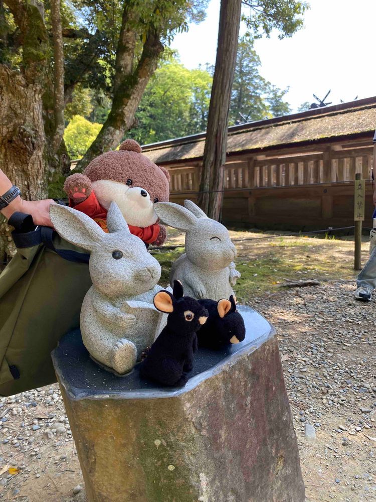 遂に…出雲大社にやってきたよ❣️神社でかい…しめ縄もでかい…。ウサギの置物？もいっぱいあって、うちのうさちゃんたちも大満足だよ☺️お昼ごはんは出雲そばを食べたよ。