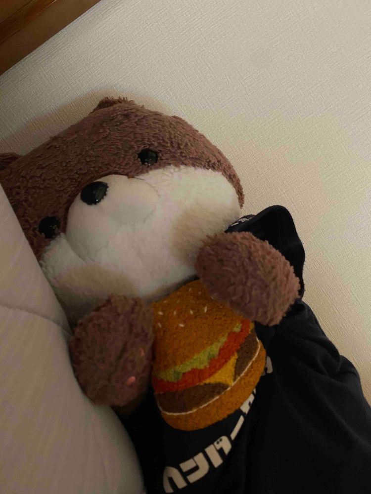 みなさんこんにちは、カワミちゃんだよ。新しい毛布を手に入れたよ❣️これはおかあさんが学生時代に膝掛けときて使っていた毛布なんだ。ウン十年選手だけど、保存状態がいいからフカフカだよ。これでカワミちゃんもクマさんに包まれて寝るよ。
２枚目の写真は、今朝体調が悪かったおかあさんを看病しているカワミちゃんだよ。夜中に頭が痛かったんだって。