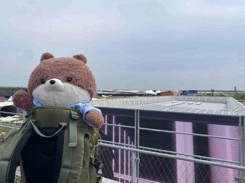 大阪万博の大屋根リングの上に登って一周したよ。万博内のいろんなパビリオンの建物だけじゃなくて、大阪湾内を行き交うタンカーやコンテナクレーンも見られてとても楽しかったよ。写真は、アゼルバイジャンパビリオンの上にあったカフェで休憩するカワミちゃんと、ポーランドパビリオンの中のカワミちゃんだよ。