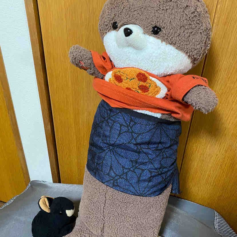 みなさんこんばんは、アマミンです。おとうさんの仕事仲間に奄美大島出身の方がいるのですが、何と奄美大島の伝統工芸品大島紬を使って、肩掛けミニバッグを作ってくれました❣️これに入ってフトちゃんといろいろお出かけできます😃
カワミ先輩は、余った大島紬の切れ端をお腹に巻き付けて腹巻きにしていました。