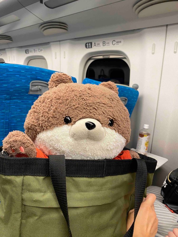 カワミちゃんだよ。早起きして電車に乗せられたよ。行き先は…どこだ！？