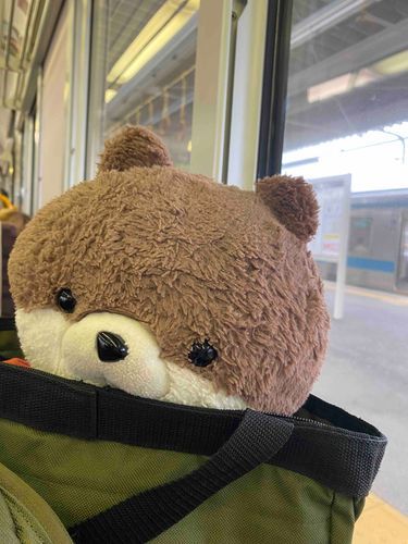 カワミちゃんだよ。早起きして電車に乗せられたよ。行き先は…どこだ！？