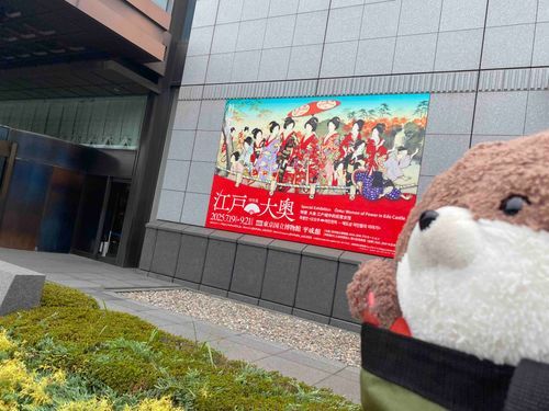 上野の東京国立博物館の「大奥」展に来たよ。おかあさんが大奥展のチケットが当たったんだって‼️豪華な着物にびっくりだよ。４枚目の写真は、考古学展示室にあった遮光器土偶だよ。カワミちゃんより存在感あるよ…