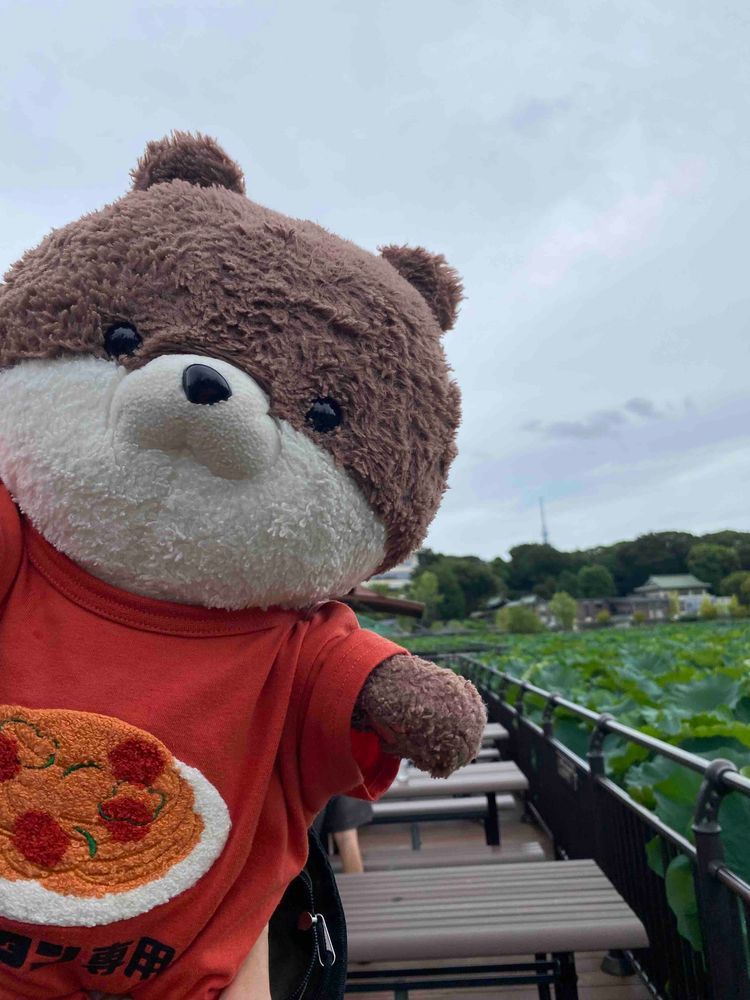 カワミちゃんだよ。おとうさんが新しいTシャツを買ってくれたよ❣️２枚目〜4枚目は東京の思い出だよ。４枚目、遠くに見えるのはスカイツリーだよ。