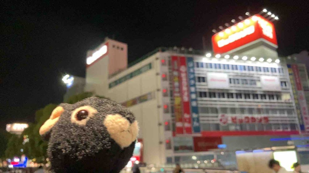 みなさんこんばんは、アマミンです。今日はおとうさんの出張にお供して、神奈川県藤沢市に来ております。カワミ先輩とフトちゃんはお留守番です。アマミンはよく出張についていくので、関東はだいぶ詳しくなってきました。