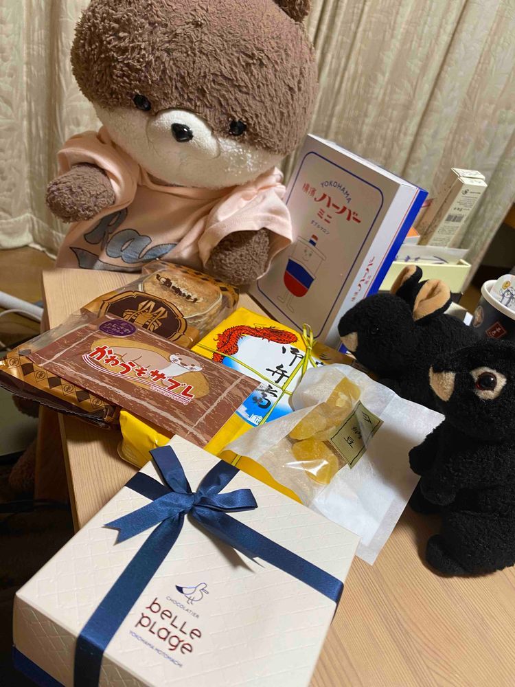 こんばんは、アマミンです。一泊二日の出張から帰ってきました。カワミ先輩とフトちゃんにはたくさんお土産を買ってきました。最後の写真は、崎陽軒のシュウマイ弁当を食べるカワミ先輩です。