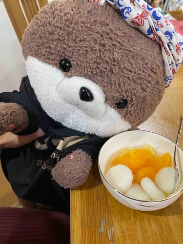 ヤッホー、いなせなカワミちゃんだよ。今日はおねえちゃんがフルーツ白玉を作ってくれたから食べるよ🥣