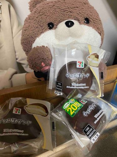 こんばんは、カワミちゃんだよ。今日はおかあさんがセブンイレブンで買った、超絶おいしいスイーツを紹介するよ。その名もチョコ生サンド❣️生チョコパイみたいな感じだけど、生チョコパイより一回り大きくて食べ応えがあるよ。アマミンちゃんは東京に出張だから、これは全部カワミちゃんが食べてやるよ。
