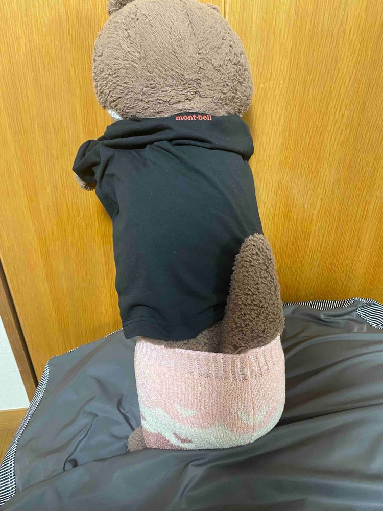 こんばんは、カワミちゃんだよ。何とおかあさんが毛糸のパンツを買ってくれたよ‼️実は、こないだクリスマスプレゼントにおとうさんから緑色のあったか腹巻をもらったんだけど、おかあさんが「首巻きにピッタリ」とか言い出して、召し上げられてしまったんだ‼️💢😂😭
その代わりに、毛糸のパンツが来たんだけど、これはこれでなかなかいいよ。あったかいし、しっぽも収納できるよ❣️