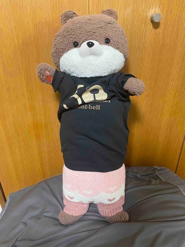 こんばんは、カワミちゃんだよ。何とおかあさんが毛糸のパンツを買ってくれたよ‼️実は、こないだクリスマスプレゼントにおとうさんから緑色のあったか腹巻をもらったんだけど、おかあさんが「首巻きにピッタリ」とか言い出して、召し上げられてしまったんだ‼️💢😂😭
その代わりに、毛糸のパンツが来たんだけど、これはこれでなかなかいいよ。あったかいし、しっぽも収納できるよ❣️