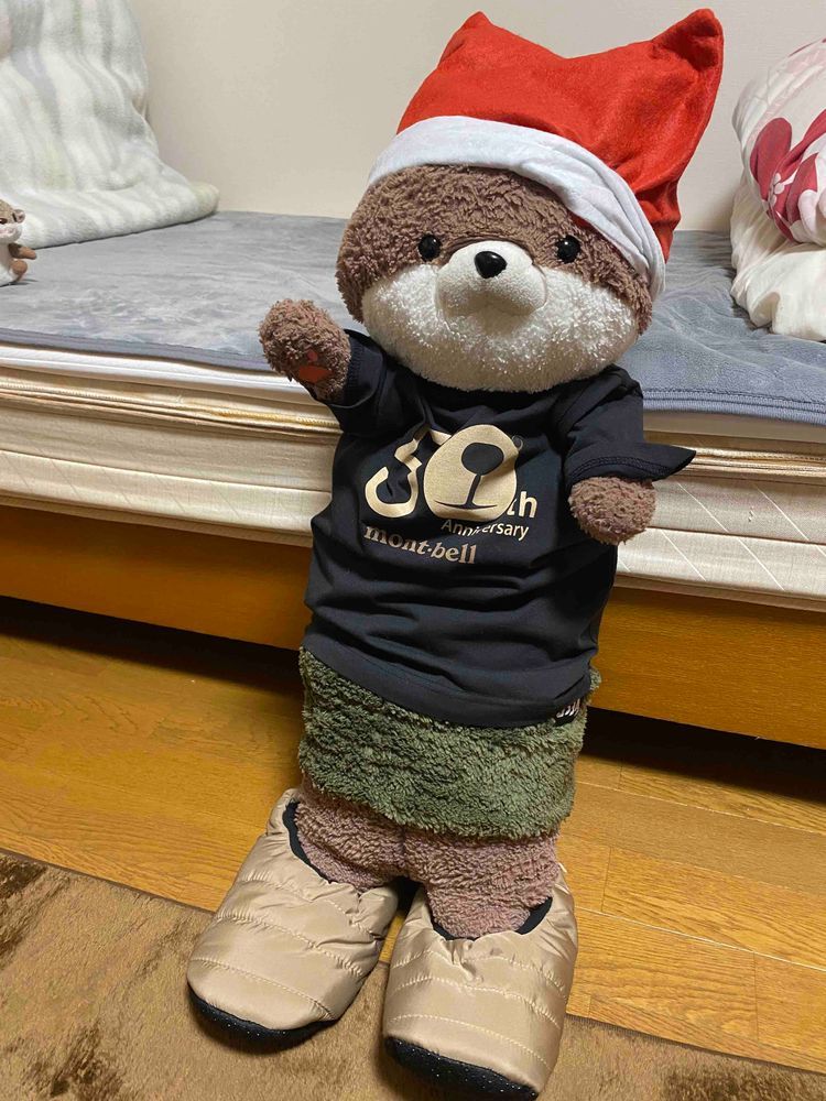 こんばんは、カワミちゃんだよ。何とおかあさんが毛糸のパンツを買ってくれたよ‼️実は、こないだクリスマスプレゼントにおとうさんから緑色のあったか腹巻をもらったんだけど、おかあさんが「首巻きにピッタリ」とか言い出して、召し上げられてしまったんだ‼️💢😂😭
その代わりに、毛糸のパンツが来たんだけど、これはこれでなかなかいいよ。あったかいし、しっぽも収納できるよ❣️