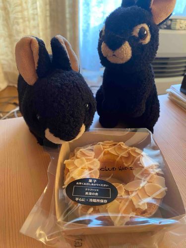 アマミン&フトちゃんでーす！今日のおやつは、ボストークってやつを食べたよ。ラム酒シロップに漬け込んだアーモンドスライスがバウムクーヘンの上に乗っててめちゃおいしかったよ。カワミ先輩はおかあさんにスパゲティを作ってもらって喜んでいたよ。