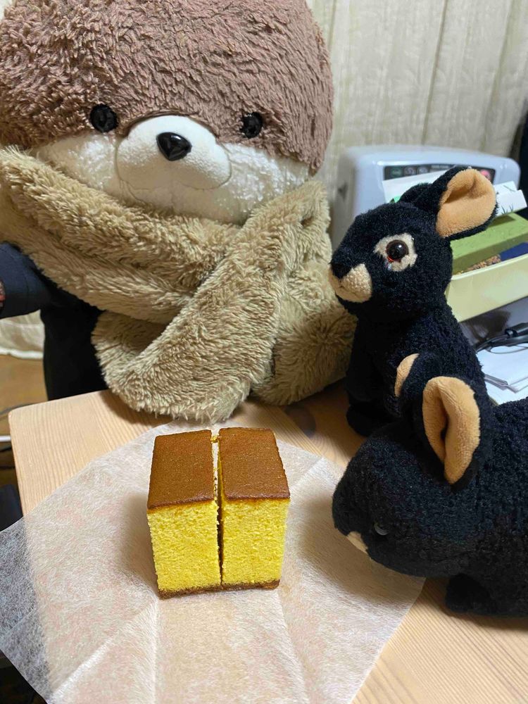 こんにちは、カワミちゃんだよ。今日はおとうさんの職場の人にオヤツをもらったよ。開けてみたら…カステラだった！カワミちゃんはカステラが大好きなんだ❣️