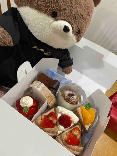 こんばんは、カワミちゃんだよ。今日はいつも仲良くしている近所のおじさんがケーキを持ってきてくれたよ❣️イチゴが多くてどれから食べようか迷っちゃうよ🍓