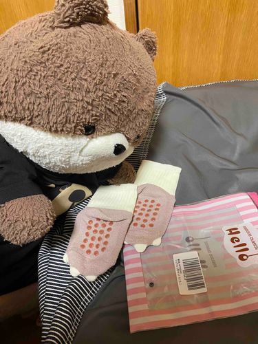 こんばんは、カワミちゃんだよ。今日はおとうさんがカワミちゃんに靴下を買ってきてくれたんだ❣️滑り止めもついててとてもあったかいよ☺️