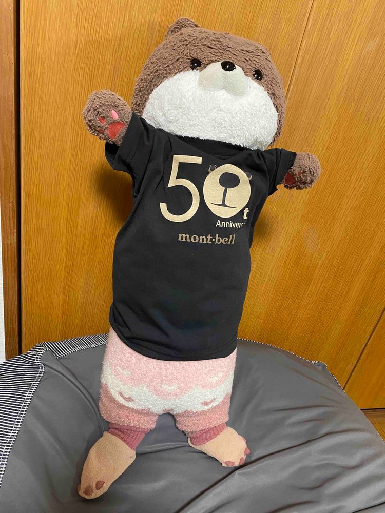 こんばんは、カワミちゃんだよ。今日はおとうさんがカワミちゃんに靴下を買ってきてくれたんだ❣️滑り止めもついててとてもあったかいよ☺️