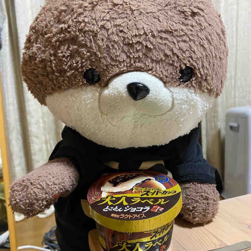 おとうさんにマリベルのチョコレートをもらったよ❣️最近仕事が忙しくて、カワミちゃんはあまり構ってもらえないんだ…。おかあさんがスーパーで買ってきてくれたアイスもおいしかったよ🍨