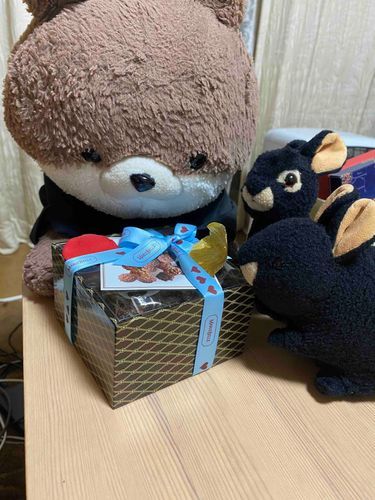 おとうさんにマリベルのチョコレートをもらったよ❣️最近仕事が忙しくて、カワミちゃんはあまり構ってもらえないんだ…。おかあさんがスーパーで買ってきてくれたアイスもおいしかったよ🍨