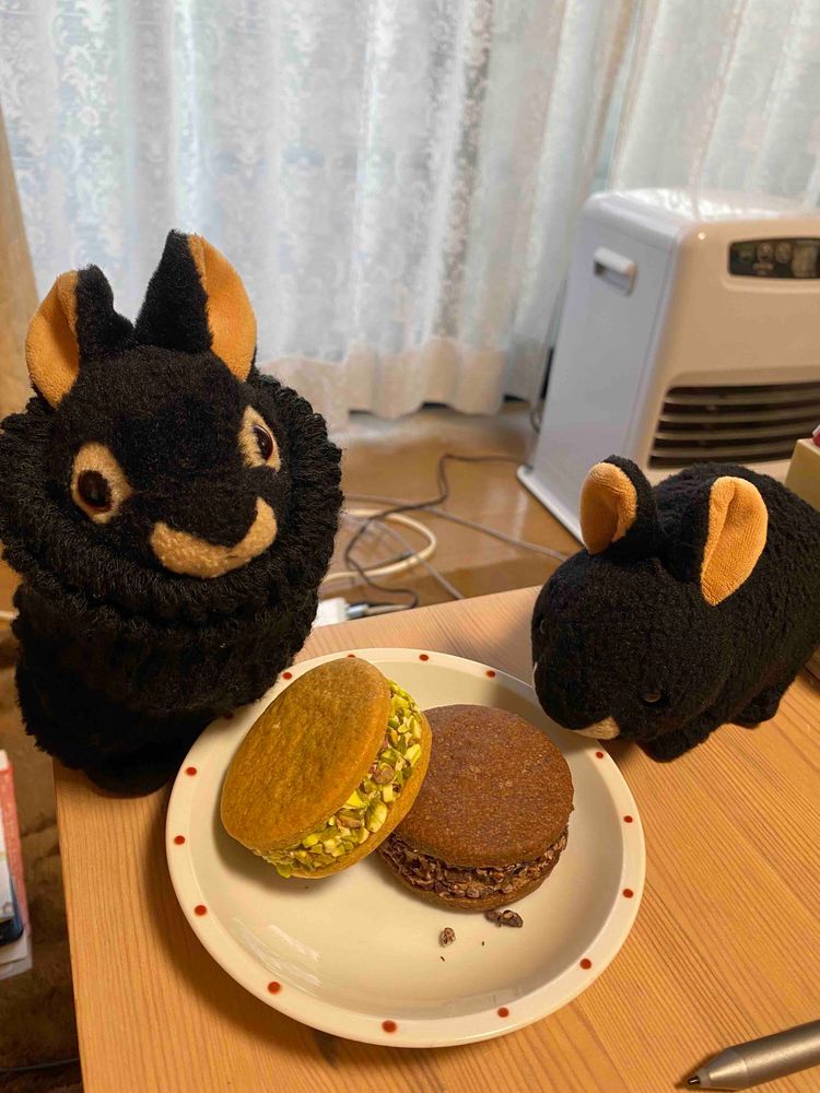 おとうさんが仕事の帰りに買ってきてくれたスイーツだよ。バタークッキーサンドのお店で、いろんな種類があるんだけど、ピスタチオとチョコ、キャラメルを買ってきてくれたよ。一個500円超だけど、食べ応えもあるしめちゃおいしかったよ‼️これはまた食べたい…‼️
