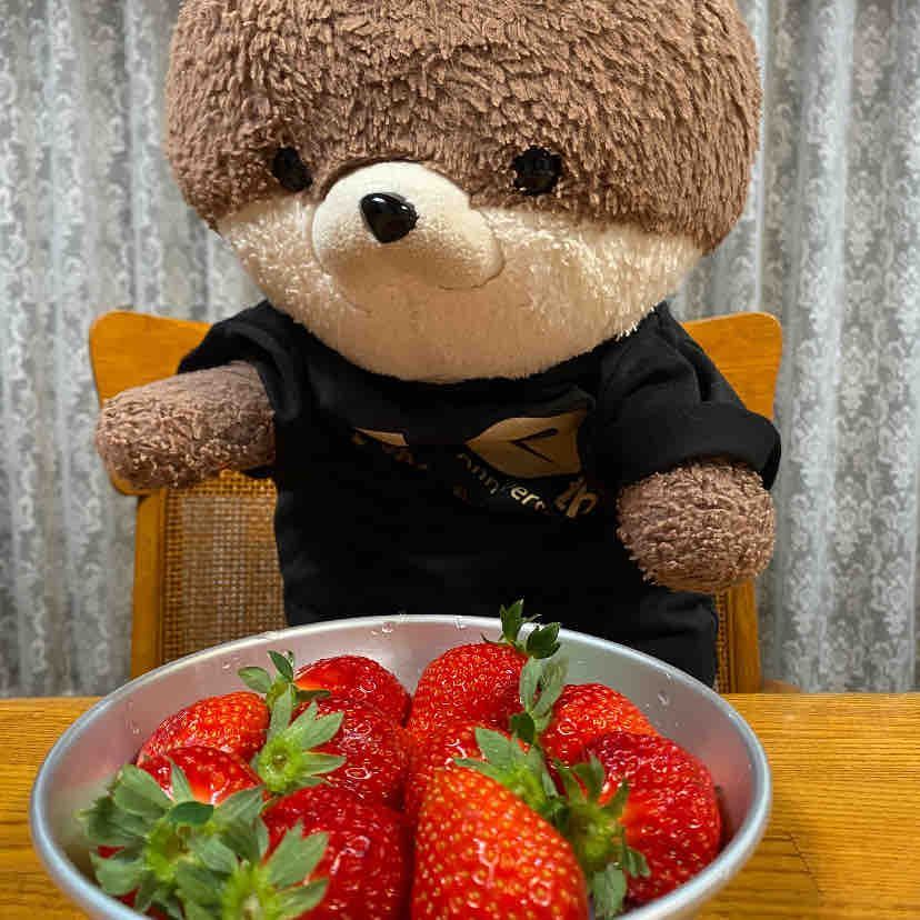 みなさんこんばんは、カワミちゃんだよ。今日はおねえちゃんがシナモンロールを作ってくれたんだ❣️めちゃおいしかったよ。たくさん作ってくれたから、明日の朝も食べるよ🥐
おかあさんは、職場にイチゴの販売が来てたらしくて、イチゴを買ってきてくれたよ。めちゃ甘くておいしかったよ。独り占めしたかったけど、ちゃんと分けたよ🍓