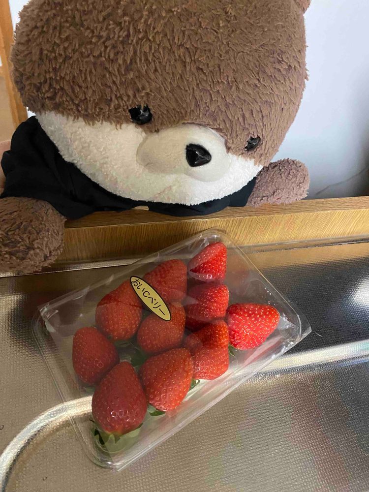 みなさんこんばんは、カワミちゃんだよ。今日はおねえちゃんがシナモンロールを作ってくれたんだ❣️めちゃおいしかったよ。たくさん作ってくれたから、明日の朝も食べるよ🥐
おかあさんは、職場にイチゴの販売が来てたらしくて、イチゴを買ってきてくれたよ。めちゃ甘くておいしかったよ。独り占めしたかったけど、ちゃんと分けたよ🍓